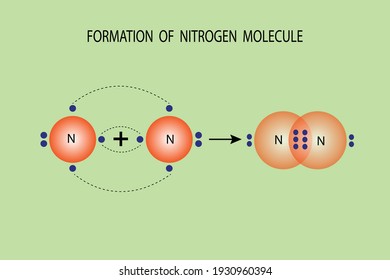 vector diagram to show the formation of nitrogen molecule