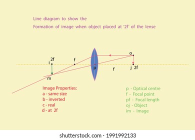 vector diagram to show the line diagram light rays passing through a double convex when object is at a 2f