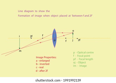 vector diagram to show the line diagram light rays passing through a double convex when object is between f and 2f