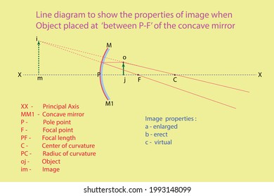 vector diagram to show the line diagram when object placed at between p-c of a concave mirror svg