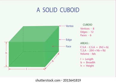 vector diagram to show the shape and characters of a solid cuboid