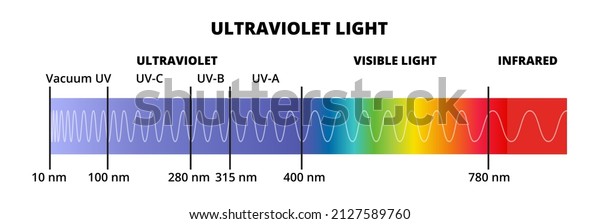 Vector diagram with the ultraviolet light spectrum UV\
isolated on a white background. Electromagnetic radiation with\
wavelength from 10 nm to 400 nm. Blue or violet light. UV-A, UV-B,\
UV-C, Vacuum UV.