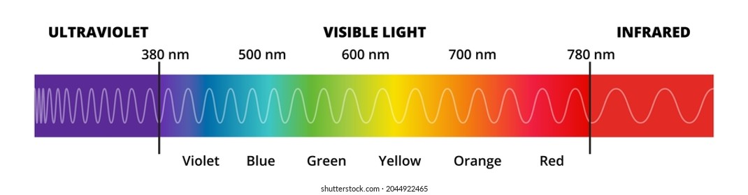 Vector diagram and the visible light spectrum  Visible light  infrared    ultraviolet  Electromagnetic spectrum visible to the human eye  Violet  Blue green  yellow  orange  red color gradient 