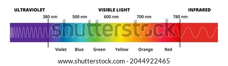 Vector diagram with the visible light spectrum. Visible light, infrared, and ultraviolet. Electromagnetic spectrum visible to the human eye. Violet, Blue green, yellow, orange, red color gradient.