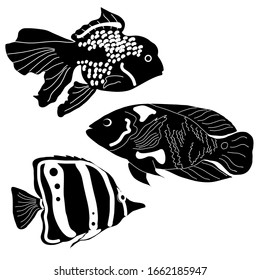 Vector different fish silhouette isolated on white
