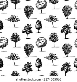 Vector different kinds of trees semless pattern. Tree silhouette hand drawn seamless pattern