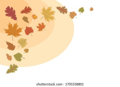 vector different leaves of maple, oak and birch. autumn leaf fall