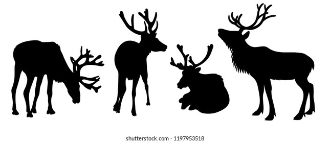 Vector different reindeer silhouets horned deers set