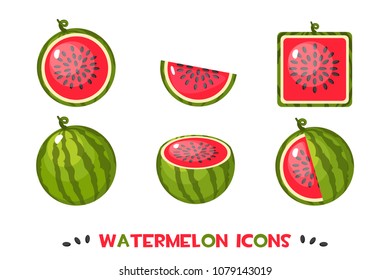 Vector different shapes watermelon icons, summer single
