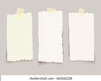 Vector different torn note papers with adhesive tape.