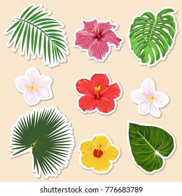 Vector Different Tropical Plants - Flowers And Leaves - Paper Sticker And Icon Set. Closeup Isolated Design Elemnts, Exotic And Travel Collection