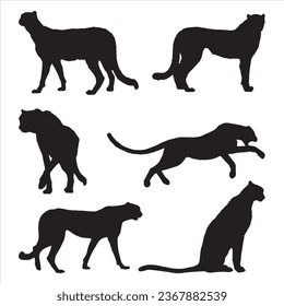 Vector diffirent silhouettes of a cheetah poses set