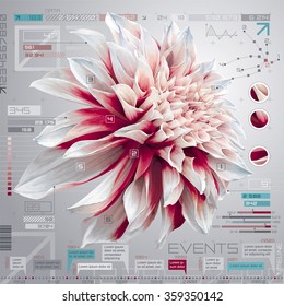 Vector Digital Computer Screen With Dahlia Flower, Infographic Set And Timeline Report Template