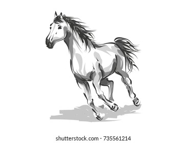 Vector digital drawing horse