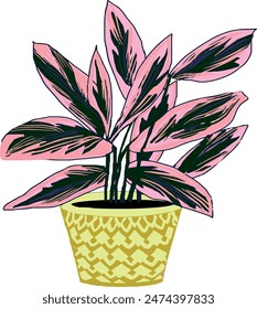Vector digital dibujo casa plantas ventanas flores, verde para la casa, macetas dibujadas a mano, stromathe 
