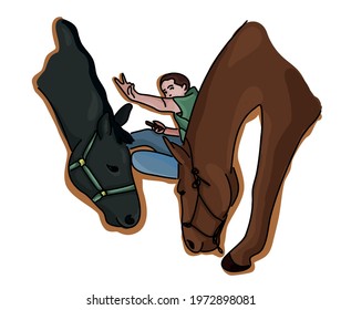 Vector digital illustration: Horse friends, colored illustration to children's book
