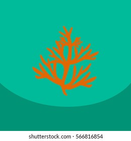Vector dill illustration on color background. Botanical herbal icon condiment.
