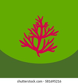 Vector dill illustration on color background. Botanical herbal icon condiment.