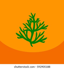 Vector dill illustration on color background. Botanical herbal icon condiment.