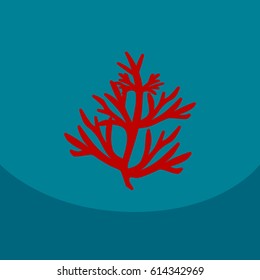 Vector dill illustration on color background. Botanical herbal icon condiment.