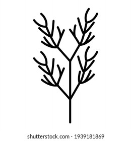 Vector Dill Outline Icon Design
