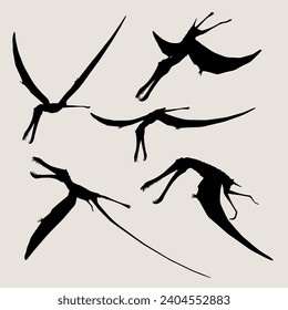 Vector dinosaur Anhanguera silhouette set