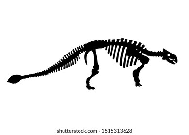 Vector Dinosaur Ankylosaurus Skeleton Silhouette Illustration Isolated