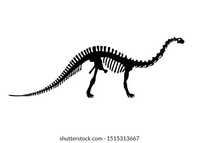 Vector Dinosaur Brontosaurus Skeleton Silhouette Illustration Isolated