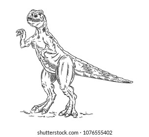 vector - dinosaur , isolated on background