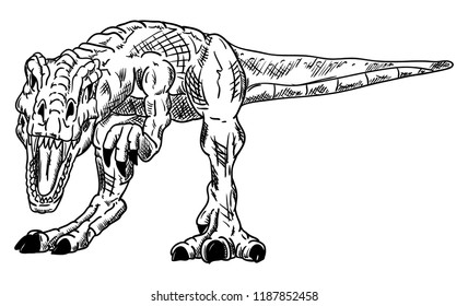 vector - dinosaur , isolated on background