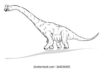 vector - dinosaur , isolated on background 