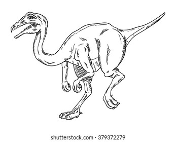 vector - dinosaur , isolated on background