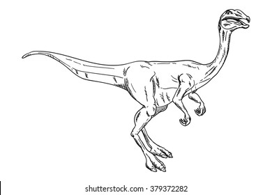vector - dinosaur , isolated on background