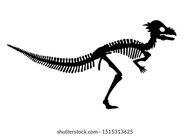 Vector Dinosaur Pachycephalosaurus Skeleton Silhouette Illustration Isolated