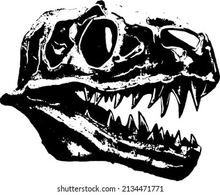 Vector Dinosaur Skull. Tyrannosaurus.Black drawing on a white background.
