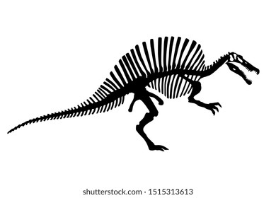 Vector Dinosaur Spinosaurus Skeleton Silhouette Illustration Isolated