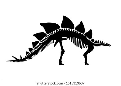 Stegosaurus Skeleton Images, Stock Photos & Vectors | Shutterstock