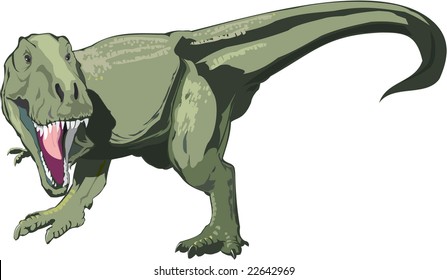 Vector Dinosaur T rex on the white background