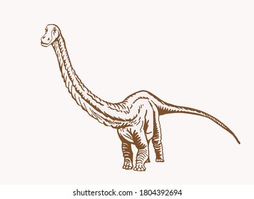 Vector diplodocus , sepia background, graphical vintage  illustration of dinosaur