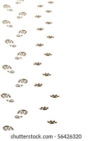 vector dirty foot prints of man and dog