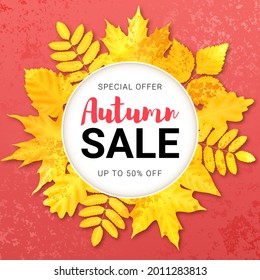 Vector Discount Banner. Text Autumn Sale. Yellow Maple, Oak and Rowan Leaves. Fall Wreath. White Circle. Red Iridescent Textured Background.