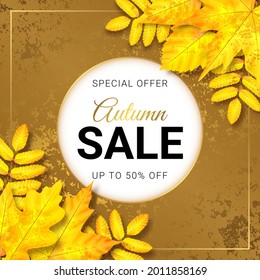 Vector Discount Banner. Text Autumn Sale. Yellow Maple, Oak and Rowan Leaves. White Circle. Fall Textured Golden Background.