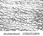 Vector distress dry bark wood overlay texture for your design.
