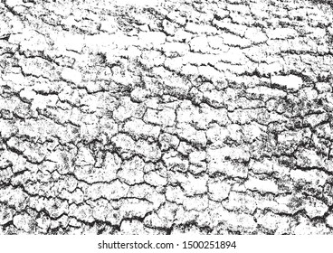 Vector distress dry bark wood overlay texture for your design.