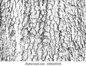 Vector distressed overlay wooden bark texture,grounge background.