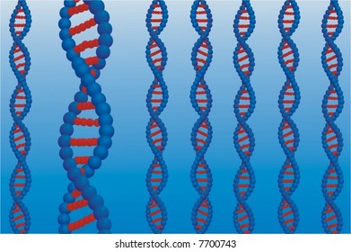 vector dna