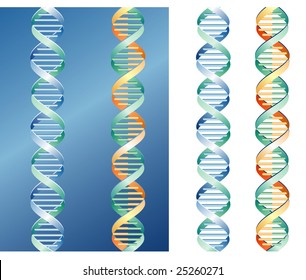 vector DNA graph