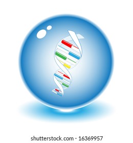 Vector dna illustration. Simply change. Other medical vectors you can see in my portfolio.
