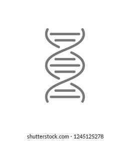 Vector DNA molecule line icon. Symbol and sign illustration design. Isolated on white background