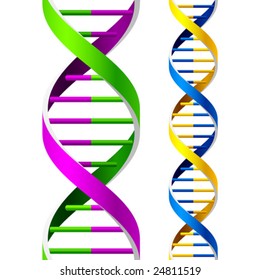 Vector DNA Strands. Seamless. Duplicate for lengthening.